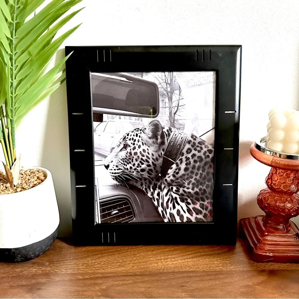 Wild Cat in the City Panther Cheetah Leopard Collar Car B/W Canvas Framed Print